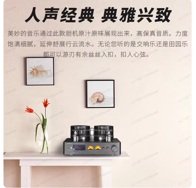 220V 400W * 2 High-Fidelity Ka – Audio Youtube Music Free Bewertung und Preis