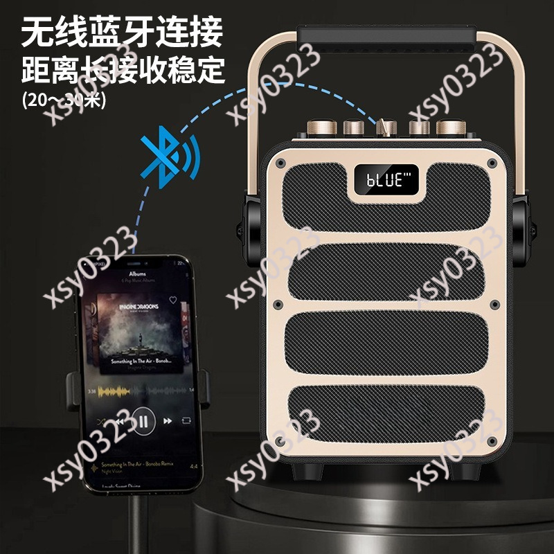 Leistungsstarker Tragbarer Blu – Music Song Audio Bewertung und Preis